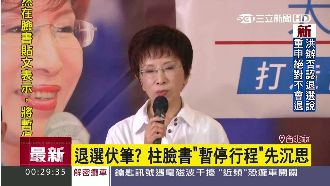 柱姊宣布「閉關」　府院黨事先不知