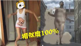 奇行種,進擊的巨人,諫山創,SISTAR,獵物▲合成圖／翻攝自YouTube、哇潮