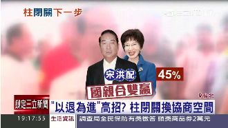 柱柱姊當副手？宋洪配支持度最高