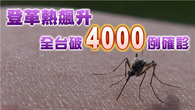 登革熱疫情飆升　全台破4千人確診