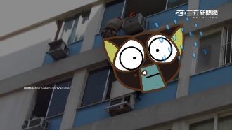 巴西黑貓會飛天！懸掛高樓表演神技