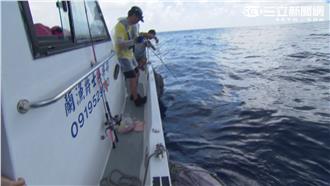 蘭巴島戰大物　陳喬兒敗部大復活！