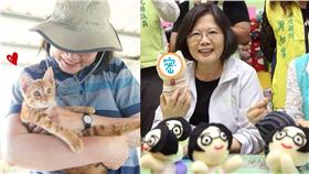 蔡英文,貓,蔡阿才,蔡想想（合成圖／翻攝自蔡英文臉書）