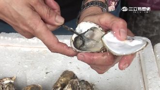 QR碼揪假貨！蚵農偷印產銷履歷私賣