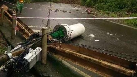 中國峨嵋山巨樹壓人　1台籍遊客不治