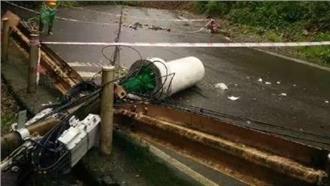 中國峨嵋山巨樹壓人　1台籍遊客不治