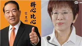 宋楚瑜、洪秀柱-（翻攝自宋楚瑜臉書、資料照／三立新聞網組圖）