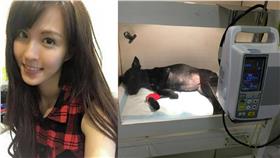 魏蔓／臉書／組圖