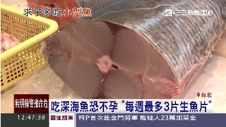 吃深海魚恐不孕　每週最多3片生魚片