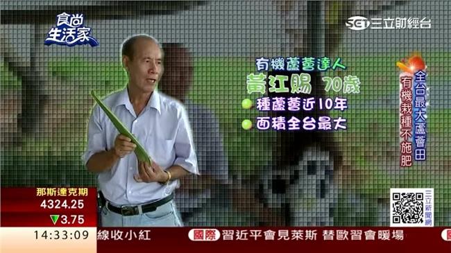 堅持蘆薈夢　達人種出最大蘆薈園