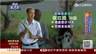 堅持蘆薈夢　達人種出最大蘆薈園