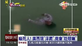 D浮屍會眨眼1600