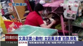 文具店賣兔子　女店員涉虐掐脖、重摔