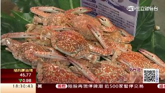 「藍鑽蟹」首攻台！原價打9折抗股災