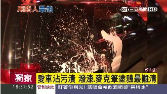 這個顏色的車子　最容易被鳥糞擊中！