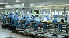 高科技產業,員工,過勞死,自殺
圖／翻攝自百度百科