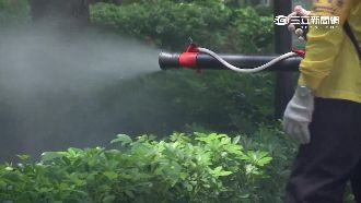 「柯P不給力」　大安區病媒蚊指數高