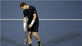 Andy Murray（ap）