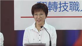 洪秀柱／翻攝自YouTube