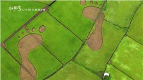 台灣面積,新加坡,汶萊,盧森堡,峇里島
圖／翻攝自「看見台灣」官方預告