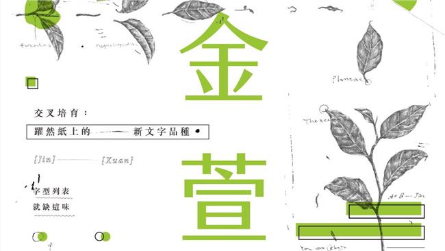 台灣自創！金萱字型半日募資800萬