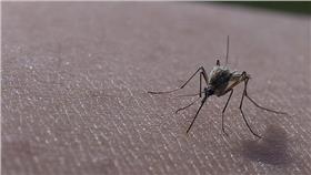 蚊子
https://www.flickr.com/photos/calgaryreviews/5790188810/in/photolist-9PEepy-cpUoSS-aUewAp-cpUoNL-7EYfx2-nL5DfG-3hTTuo-fgA2xb-oMeJCR-5pwhS5-6s5HRF-dPqrhU-9dhhfS-34mrZ-9dhhvN-9debF6-9debVP-bexi6F-6KXii7-5teKrM-dPqraQ-bBZyhu-Xm4f-3uwXxr-epyiYX-5teJBV-onzPwN-prufsH-7riNK8-7snHrW-b3Fp6F-7snHUd-8Ydien-3f62m-a1MQf-9obW8U-bexfyT-qhfWSr-9dhh7W-bexgX2-bexoWc-8UFKBz-xtKBz-qXKpxh-8j7C91-qr2yxb-7riMSv-8Ydi5V-a5XbDu-b29TGT