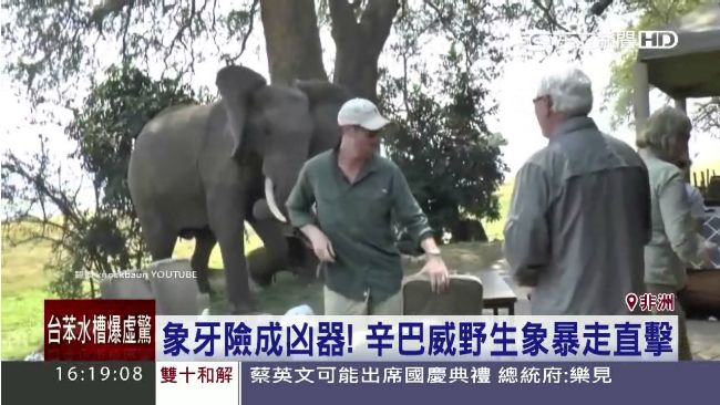 亂入遊客早餐會　大象發飆「冰的啦」