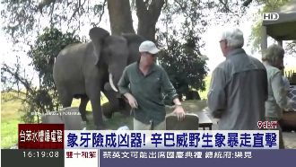 亂入遊客早餐會　大象發飆「冰的啦」