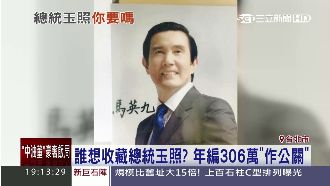 誰想要？總統「玉照」竟年編306萬