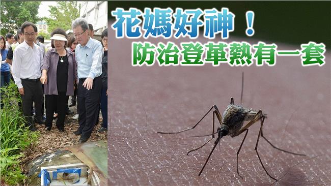 登革熱防疫如何做？陳菊一招成功滅蚊
