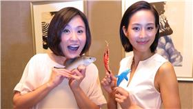 張鈞甯-酷瞧提供