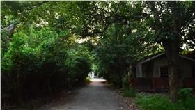 飛雁新村　圖／翻攝自《搶救飛雁新村，反對圖利遠雄》臉書