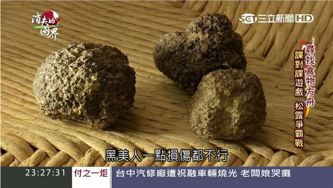 「松露獵人」諜對諜　搶餐桌上黑鑽石