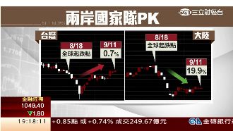 國安基金救市成功！台股短線漲15%