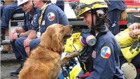 搜救犬／紐約每日新聞
http://www.nydailynews.com/new-york/living-9-11-ground-zero-search-dog-returns-site-article-1.1936151