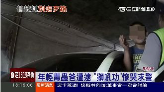年輕毒蟲爸遭逮　「獅吼功」慘哭求警
