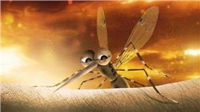 疾管署防治登革熱海報.埃及斑蚊.白線斑蚊（圖／翻攝自1922防疫達人）