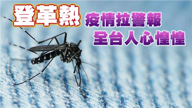 台南登革熱破2萬！巨爵恐干擾防疫