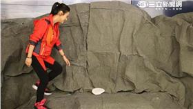 吳珊儒／范樺沂