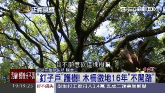 住戶護樹拒搬　木柵徵地16年不開路