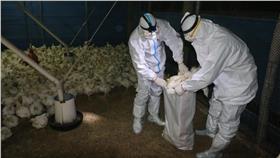 禽流感,資料照（圖／翻攝自賴清德臉書）