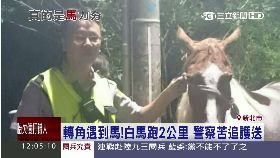 員警追白馬1200