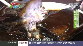 (美食)江浙東坡肉(九月底前勿刪)