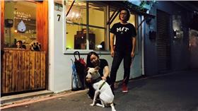 浪浪別哭　圖／翻攝自《浪浪別哭》臉書