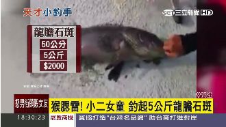 猴腮雷！小二女童竟釣起5公斤石斑