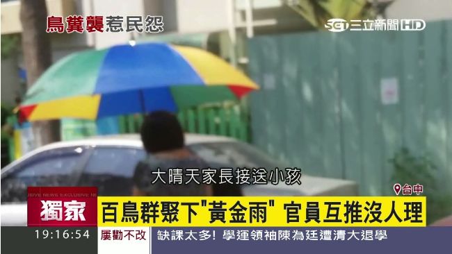 鳥糞像下雨！民眾怨大白天還得撐傘
