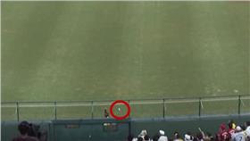 重播輔助判決(截自YOUTUBE)