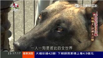 貨品想進羅馬尼亞　先通過緝毒犬鼻子
