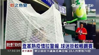 登革熱拉警報　球迷自製防蚊席看球賽