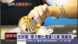 真的賺翻！200元螺吐10萬元珍珠